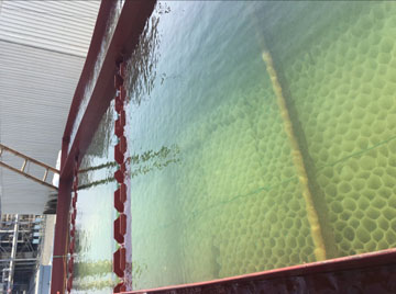 一體化凈水處理設(shè)備